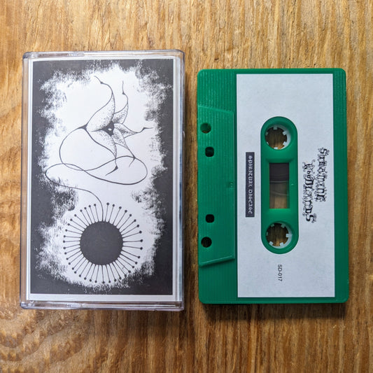 STEAMING WOODLANDS "Steaming Woodlands" Cassette Tape (lim.75)