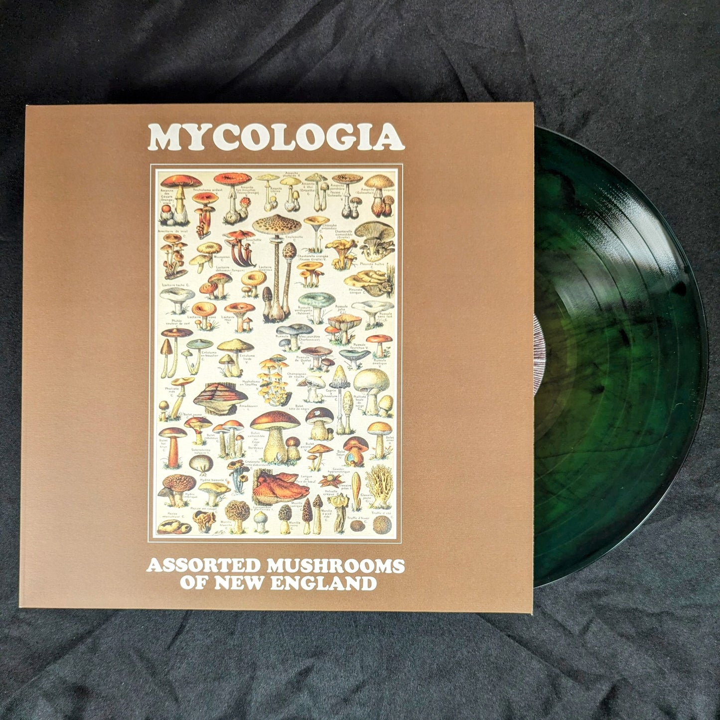 MYCOLOGIA "Assorted Mushrooms of New England Vol.1" vinyl LP (2 options)