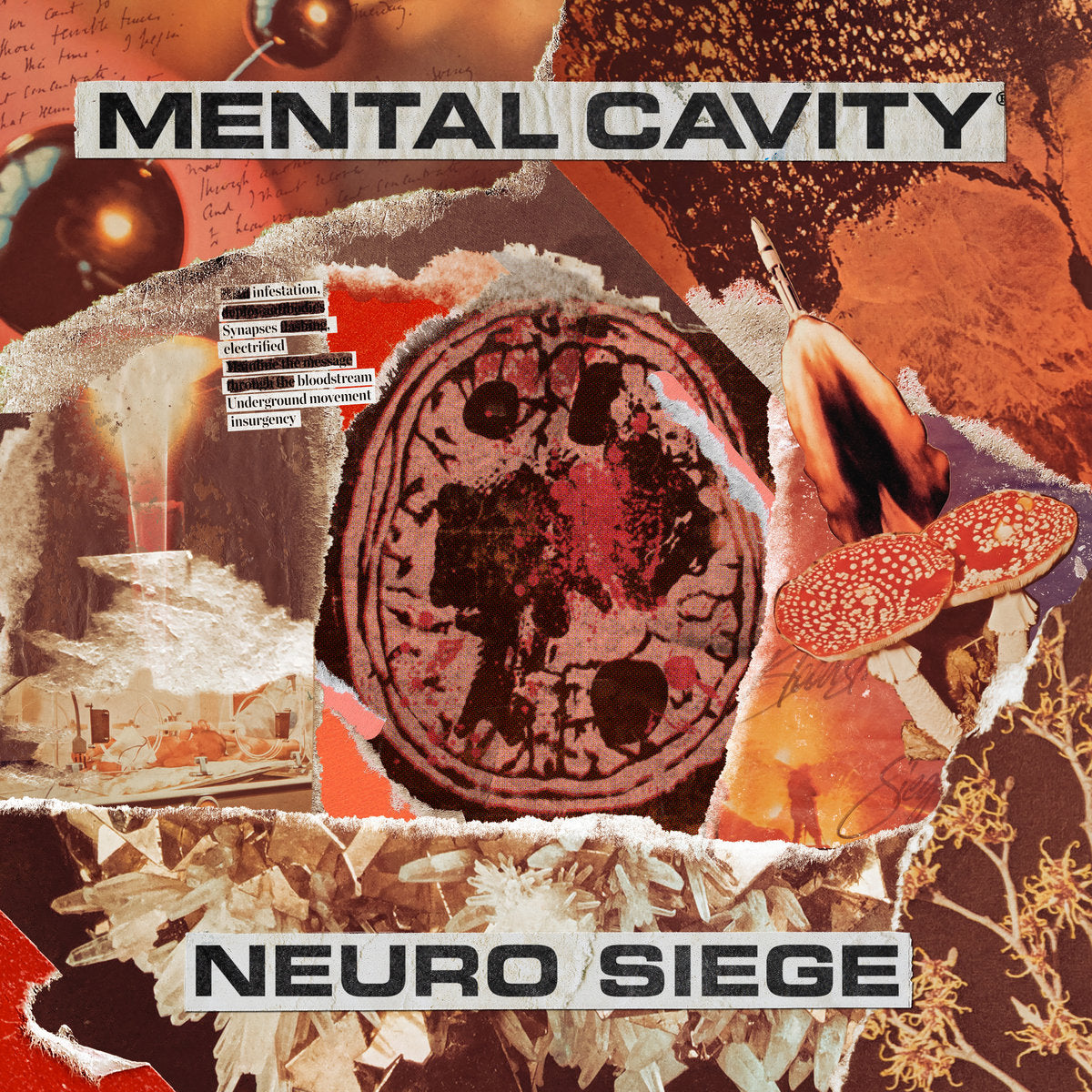 MENTAL CAVITY "Neuro Siege" CD